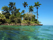 Tropical vegetation with turquoise water