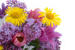 Bouquet of spring flowers Bouquet of spring flowers