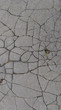 grunge road surface with multiple cracks and some grass grunge road surface with multiple cracks and some grass