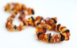 Natural amber necklace