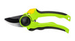 green Secateurs