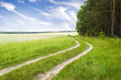 Road near wood on a decline