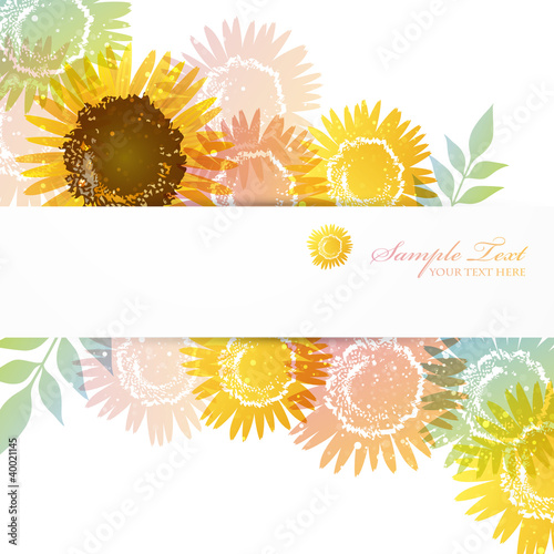 Vector: sunflower background sunflower background