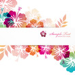 hibiscus background
