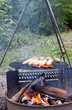 Food on a Grill
