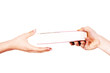 hand holds the bible