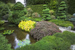 Footpath in a garden.