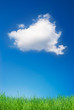 Photo: cloud and grass panorama cloud and grass panorama
