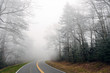 Ice Fog on a Mountain Road
