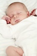 Photo: Sleeping newborn baby Sleeping newborn baby