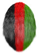 hairy egg in afghan national colors