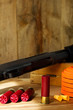 12 Gauge Shotgun, Shells, and Clay Pigeons