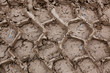Tire Tracks in Mud