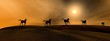 Runing horses