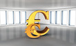 Euro
