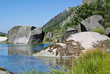 paysage d'été