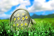 LED Bulb