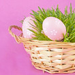 Colorful painted easter eggs Colorful painted easter eggs