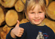 Foto: gutes Holz gutes Holz