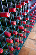 Vin, chai, cave, caviste, bouteille, Bordeaux, vin rouge