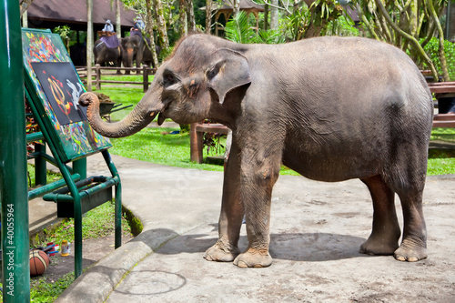 Photo: Artistic Elephant Artistic Elephant