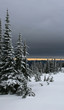 Mt Rainier #5