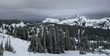 Mt Rainier 4