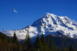 Mt Rainier #3