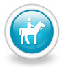 Light Blue Icon "Stable"