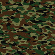 Vector: vector summer camouflage pattern vector summer camouflage pattern