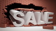 Brick wall is destroyed by the word of SALE
