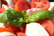 Frischer Salat