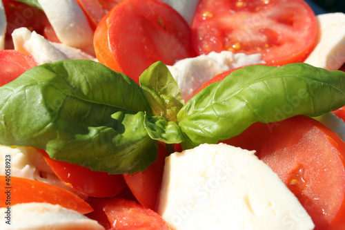 Foto: Frischer Salat Frischer Salat
