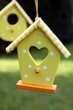 zwei Vogelhausangänger in gelb im Garten