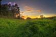 Beautiful summer sunset Beautiful summer sunset