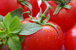 Photo: Tomates basilic Tomates basilic