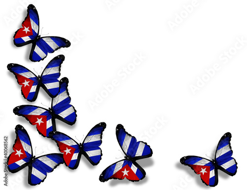 Illustration: Cuban flag butterflies, isolated on white background Cuban flag butterflies, isolated on white background