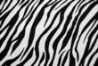 Zebra Textile Texture Zebra Textile Texture