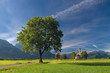 Photo: Landscape with mountains and big tree Landscape with mountains and big tree