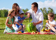 family picnic in park family picnic in park