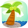 Coconut tree