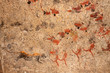 Photo: Bushmen (san) rock painting, South Africa Bushmen (san) rock painting, South Africa