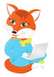 Fox with a laptop