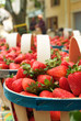étalage fruit et légume du marché