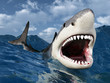 Illustration: Great White Shark Great White Shark