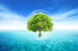 Natural landscape. ecological concept