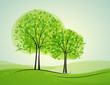 Landscape with deciduous trees