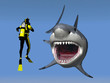Shark Attack