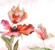 Watercolor background