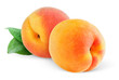 Peaches (or apricots) isolated on white